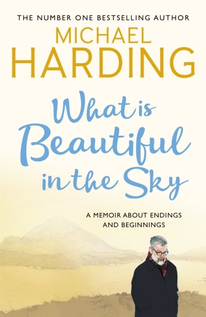 What is Beautiful in the Sky: A book about endings and beginnings by Michael Ha - Image 4