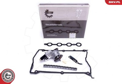 ESEN SKV 21SKV110 Timing Chain Kit for Audi, Seat, Skoda, VW