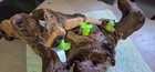 Bild 9 von 9