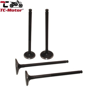 TC-Motor Intake Exhaust Valves For Daytona Anima 150 190 4V FLX FDX FE Engine