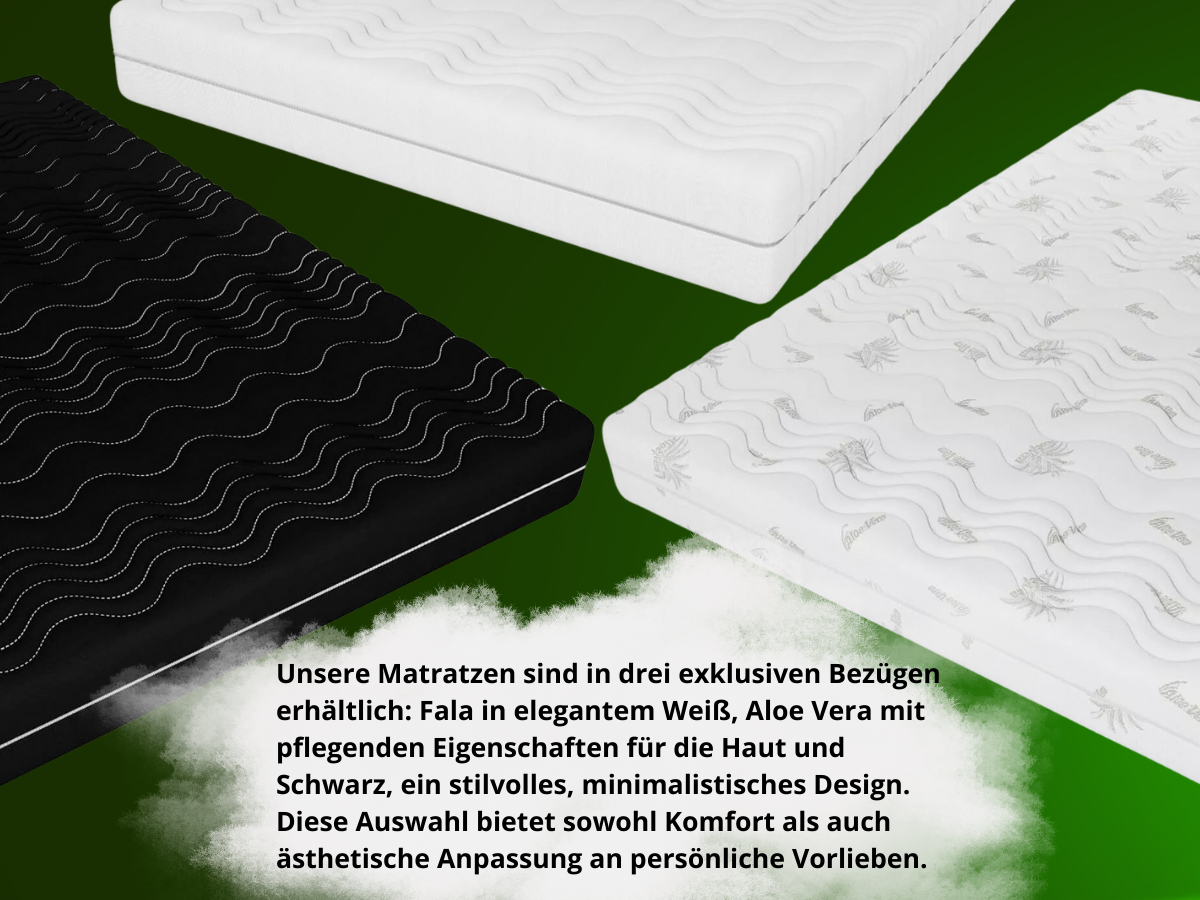 Bild 4 von 7