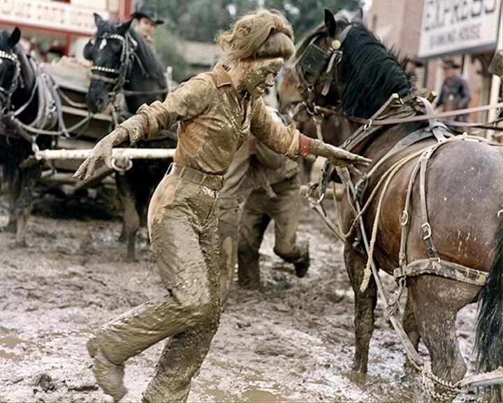 Blu-ray - Auch ein Sheriff braucht mal Hilfe * Westernkomödie mit James Garner - Bild 3 von 4