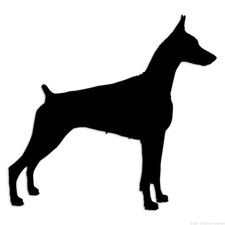 German Pinscher Doberman - Decal Sticker - Multiple Colors  Sizes - ebn6556