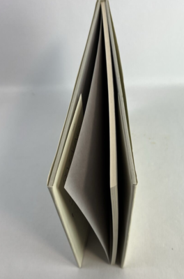 Revealing Light photographs Lilo Raymond w/ Mark Strand 1989 HB/DJ