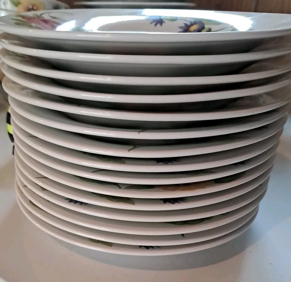 Placas totales Pfaltzgraff EMMA 8,5 pulgadas 15 Foto 4 de 4