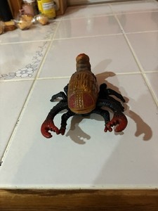 Bugs Rocks Things | eBay
