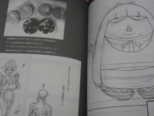 HAWAII Animation Panty and Stocking rough Art Book PSG HAWAII