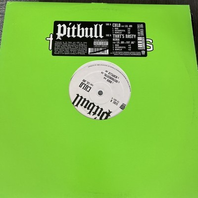 That's Nasty by Pitbull Featuring Lil Jon (Record, 2004)