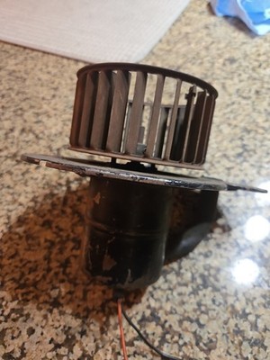 Vintage 60s Squirrel Cage Ford