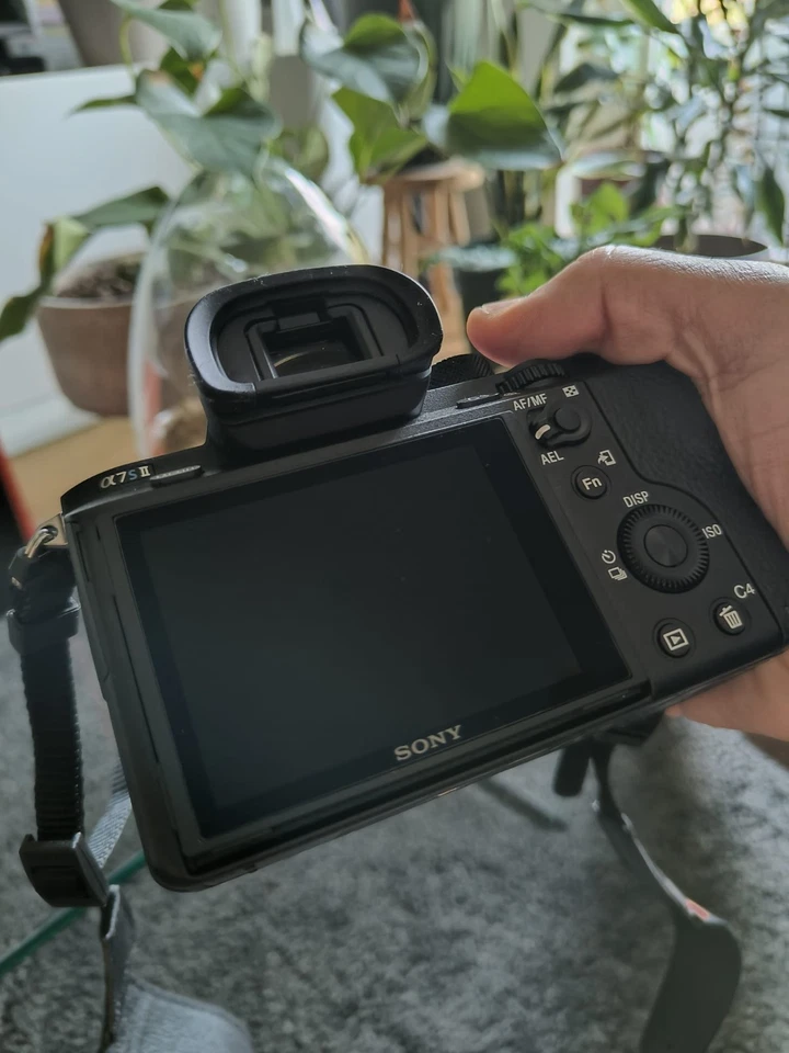 Sony Alpha 7S, foto 4 di 5