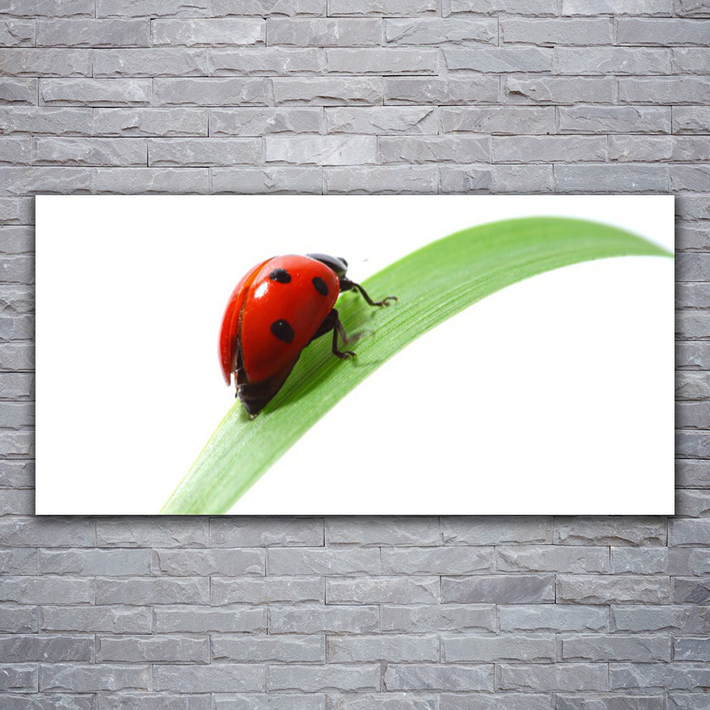 Tableau image impression nature feuille verte et coccinelle déco murale 120x60