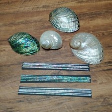 Paua Abalone Shell Strips DIY Mother of Pearl Inlay Material Guitar Resin Arts