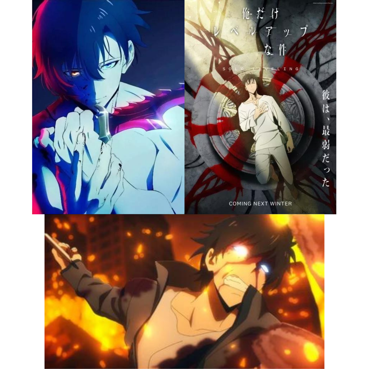 Wang The Daily Life Of The Immortal King Cosmic Creations Renegade