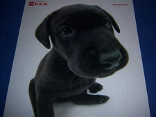 way too cute LABRADOR RETRIEVER PUPPY DOG poster-ARTLIST COLLECTION-made USA-NEW