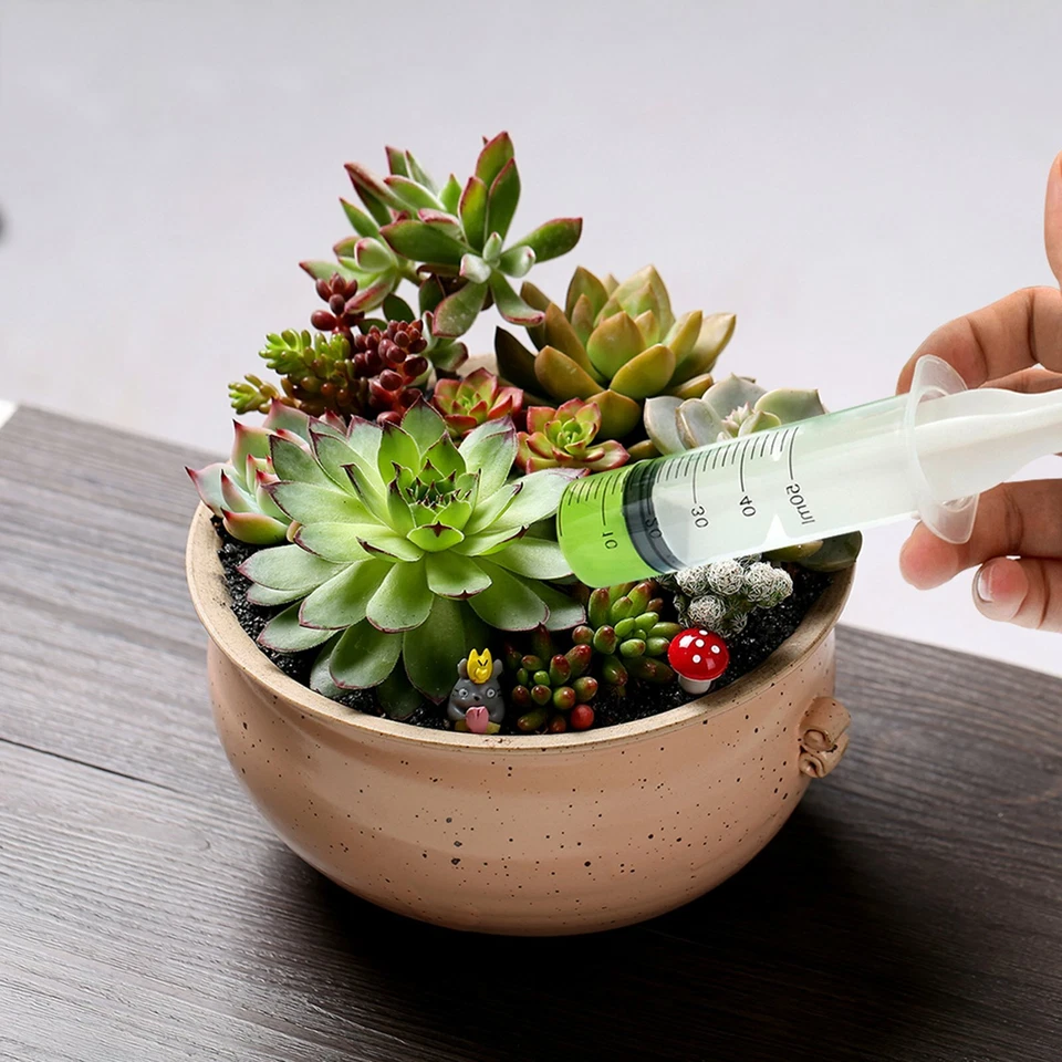 10/100xSyringes 1ml 5ml 10ml 20ml Plastic Disposable Syringe Tube Funnel - image 3 of 4