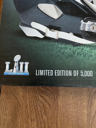 Philadelphia Eagles Super Bowl LII 52 Championship 16x20 Canvas Photo Print NFL - Picture 2 of 4