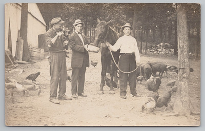 RPPC Men on Farm Feeding Horse, Dachshund Dog, Pigs, Ducks and Chickens Postcard