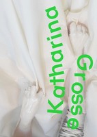 Katharina Grosse (Englische Ausgabe) Klaus Albrecht SchröDer