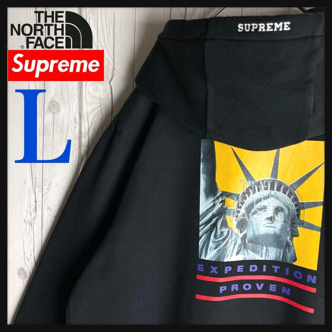 Sweat à capuche Supreme Men L Collaboration North Face Statue Ofiberty logo brodé