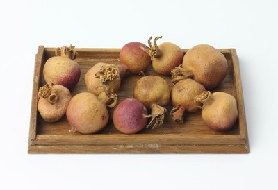 Antique German Dollhouse Tray of Turnips for Shop or Kitchen Miniature