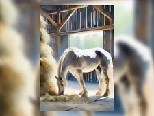 White Horse Eating Hay Watercolor Painting Print 5"x7" Peaceful Farm Scene