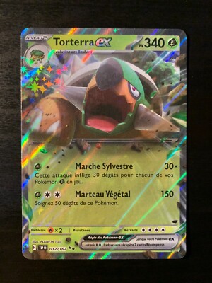 Coffret 10 Cartes Pokémon – Torterra Ex 012/162 – Forces Temporelles – Prénotées Par CollectAura
