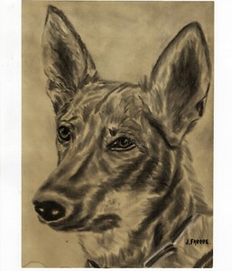 Détails Sur Chien Dessin Animalier Au Fusain Signée Fauque Circa 1960