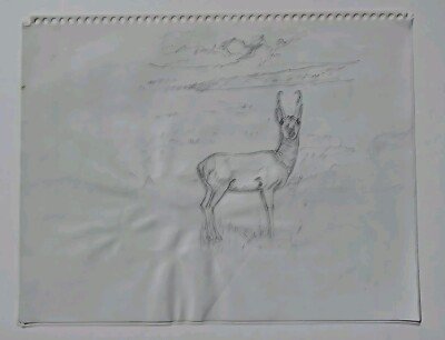 TOOBY BURTON YELLOWSTONE ARTIST PENCIL SKETCH PORTRAIT STUDY ALERT DEER ANIMAL