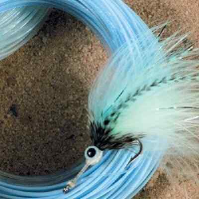 Royal Wulff Bermuda Triangle Taper Lost Tip Fly Line SWTBFI 12 NEW 
