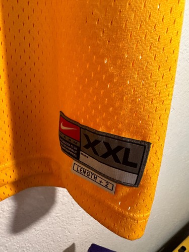 Golden State Warriors Jason Richardson Vintage Nike Team XXL Jersey Stitched - Picture 3 of 5