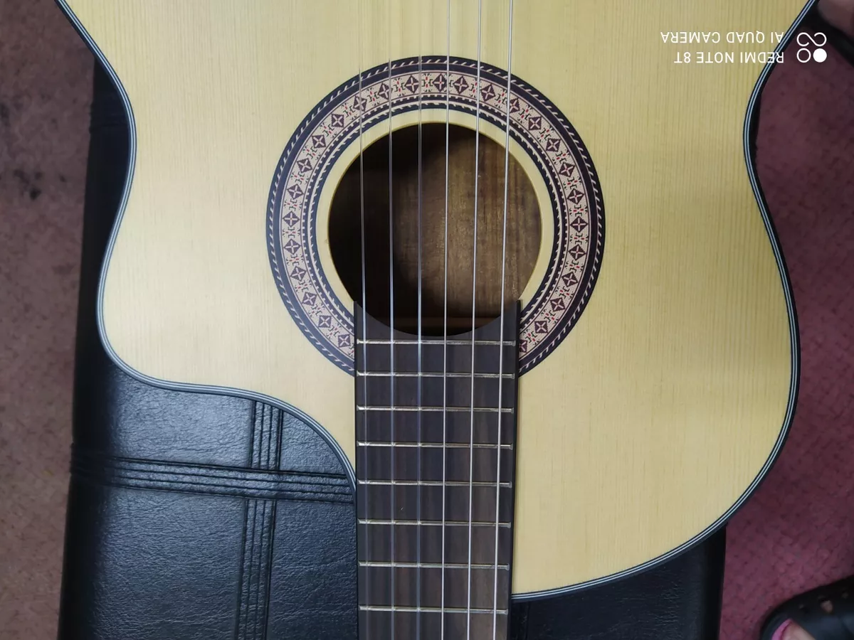 Berkeley Thin Body Flamenco Acoustic Cutaway Guitar 5Band EQ Tuner
