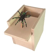 10 Hilarious Scare Boxes Spider Prank - Wooden Scarebox Amish Made Bulk Lot