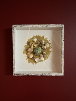 Sea Shell Artwork Natural Beauty