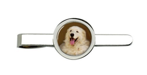 Foto 1 di 5