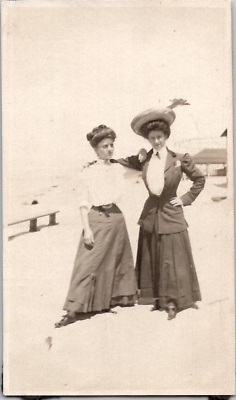#ad Muskegon Michigan MI Beautiful Victorian Women Fashion 1900s Antique Photo $14.29