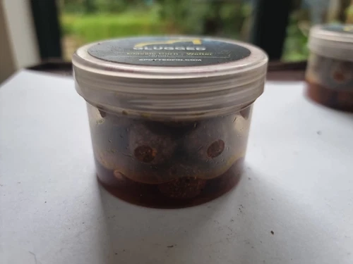 Spotted Fin - Classic Corn-  15mm Round Wafters - Pre Glugged