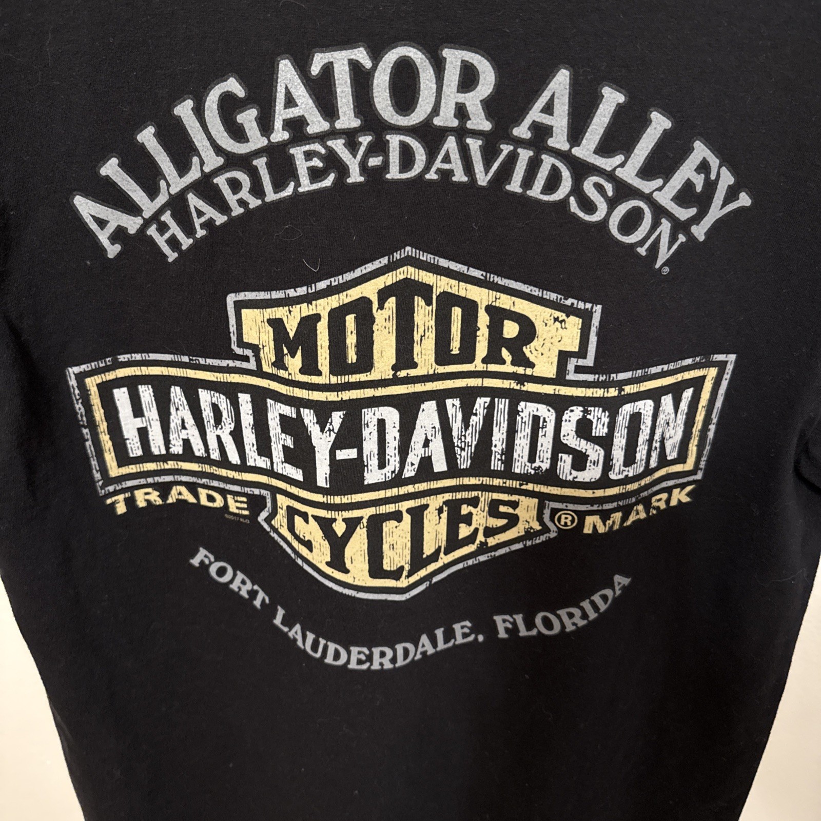 Harley-Davidson Alligator Alley Fort Lauderdale FL 2022 Motorcycle Graphic Tee L