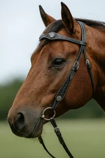 CONCHO WESTERN BRIDLE – HEADSTALL WITH REINS- AE-HS52