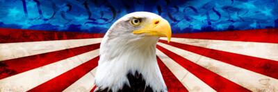 PATRIOTIC EAGLE FLAG PICK-UP TRUCK BACK WINDOW GRAPHIC DECAL PERFORATED VINYL