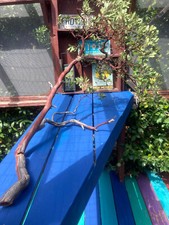 Large Magic Sedona Manzanita Branch 45inches by 27