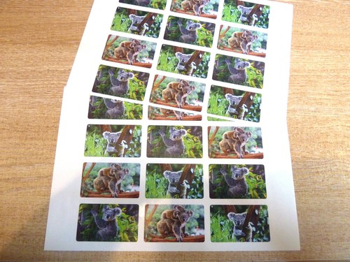Koala Bear Wildlife Jungle Animal Self-Adhesive Labels Stickers for Kids & Craft - Picture 5 of 5