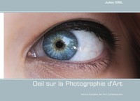 Julien Gril | Oeil Sur La Photographie D'art | Buch | FranzöSisch (2013)