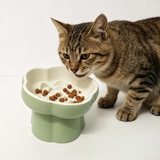 Slow Feeder Cat Bowl, Ceramic Elevated 15  Tilted, Whisker Friendly Anti Vomi...