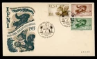 DR WHO 1955 SPANISH IFNI FDC STAMP DAY ANIMAL SEMI POST COMBO R83804