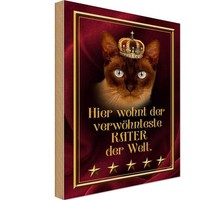 Holzschild 18X12 Cm Hier Wohnt Kater Der Welt Tier Haustier Deko Geschenk Holz S