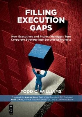 Todd C. Williams Filling Execution Gaps (Taschenbuch)