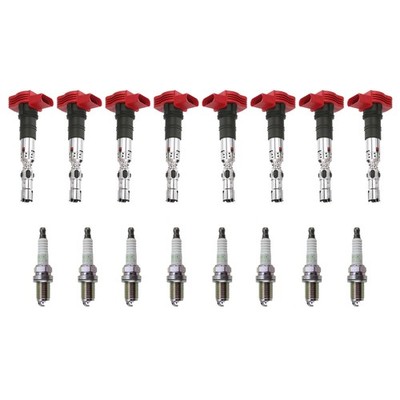 Eldor 8 Ignition Coils NGK G-Power Spark Plugs Kit for Audi VW Porsche 4.2L V8