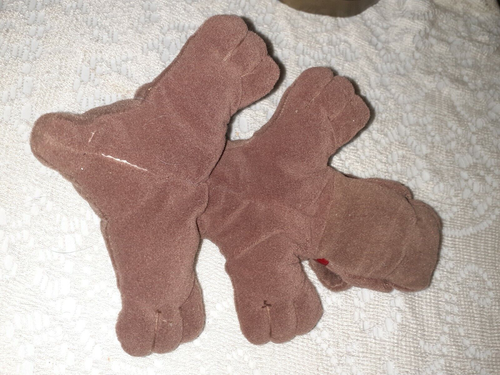 Picture 8 of 8