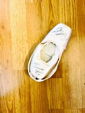 ballet pointe shoes worn and signed by Venessa Zahorian, San Francisco Ballet