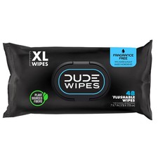 DUDE Wipes - Flushable - 1 Pack, 48 - 48 Count Pack of 1 , White